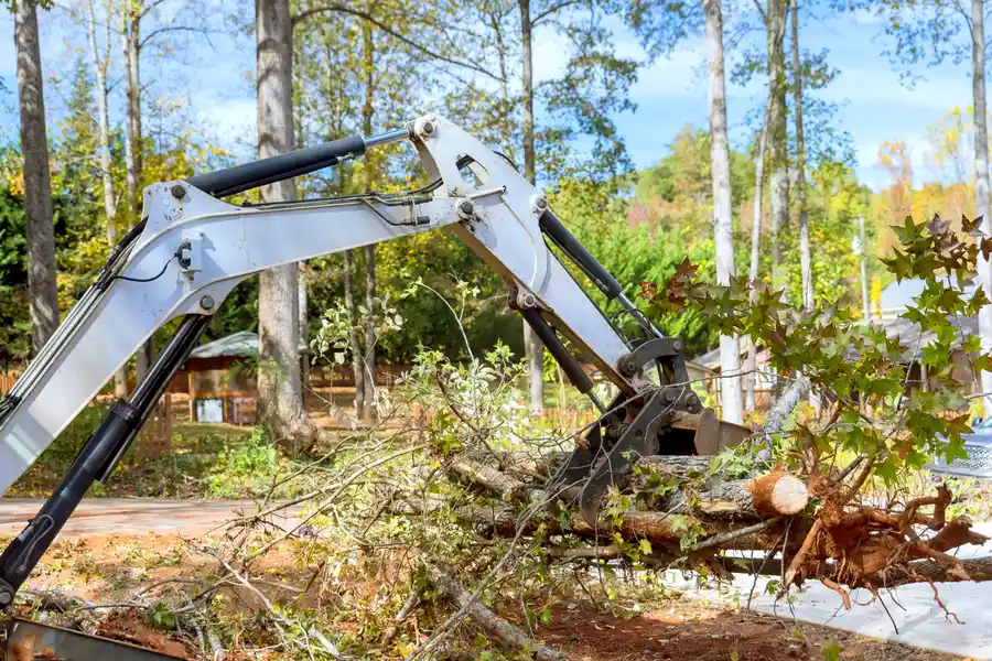 Affordable Land Clearing Service Spokane Valley, WA