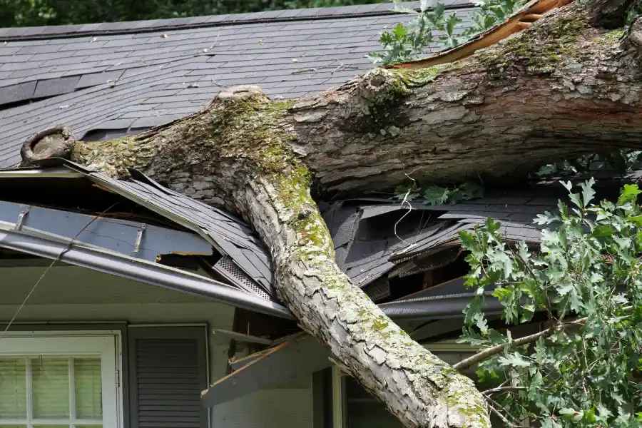 Affordable Storm Damage Cleanup in Spokane Valley, WA