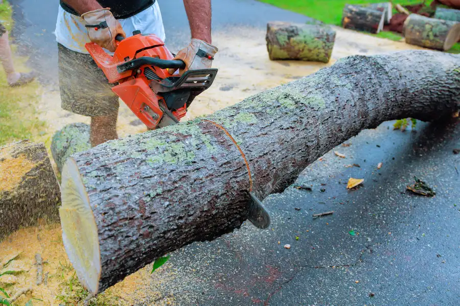 Experienced Emergency Tree Removal Spokane Valley, WA
