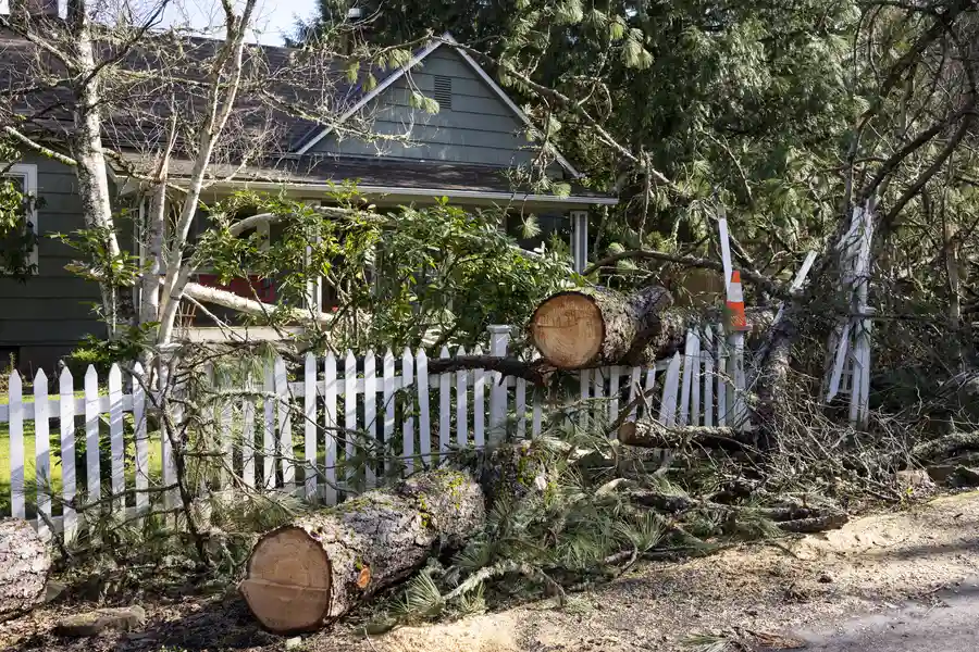 How Emergency Tree Removal Protects Homes And Power Lines Spokane Valley, WA