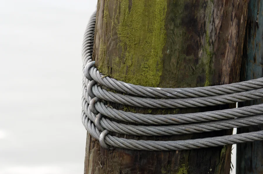 Professional Tree Cabling in Spokane Valley, WA