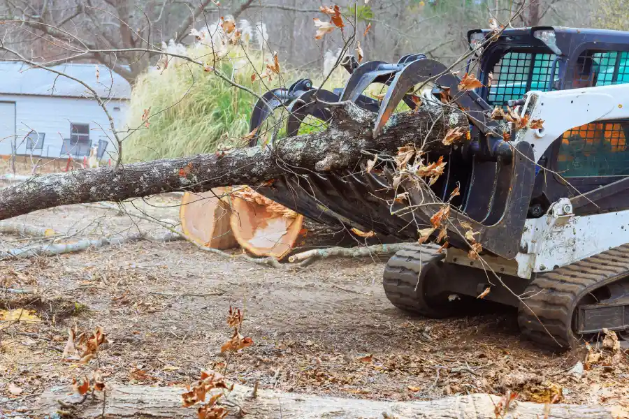 The Benefits of Routine Tree Maintenance for Storm Protection Spokane Valley, WA