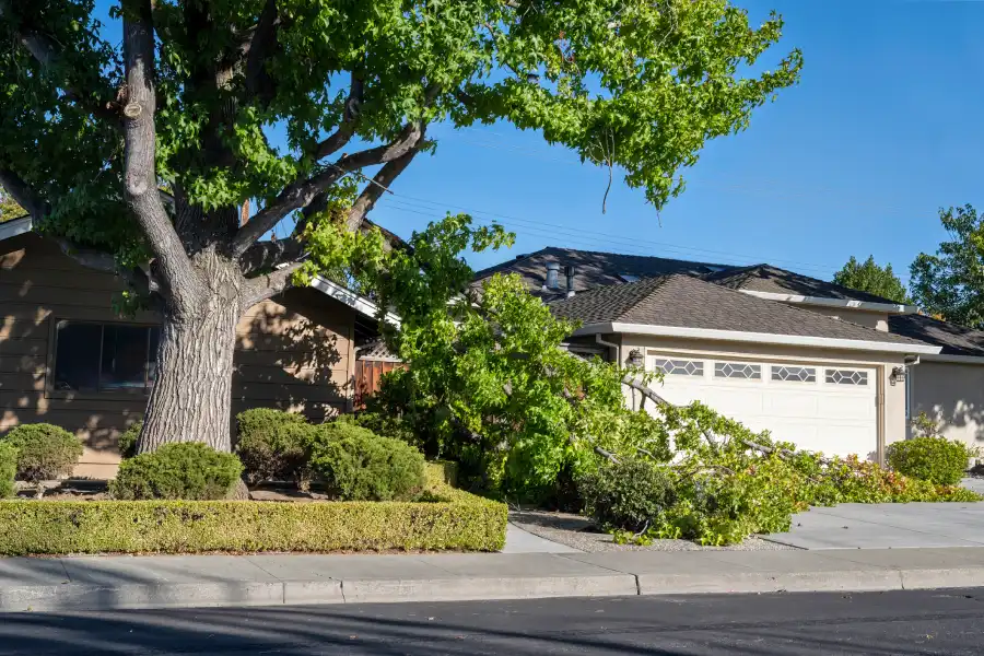 Trusted Storm Damage Cleanup in Spokane Valley, WA